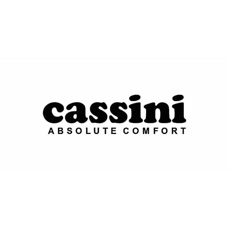CASSINI
