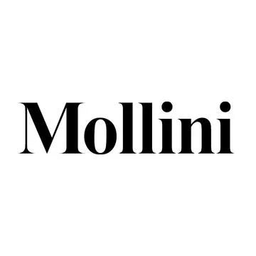 MOLLINI
