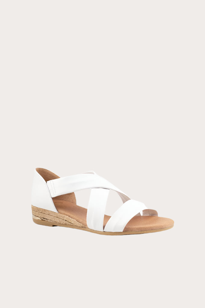 PINAZ 317 Blanco