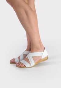 PINAZ 317 Blanco