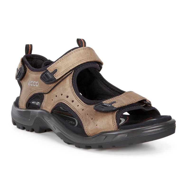 ECCO OffRoad Mens Navajo Brown