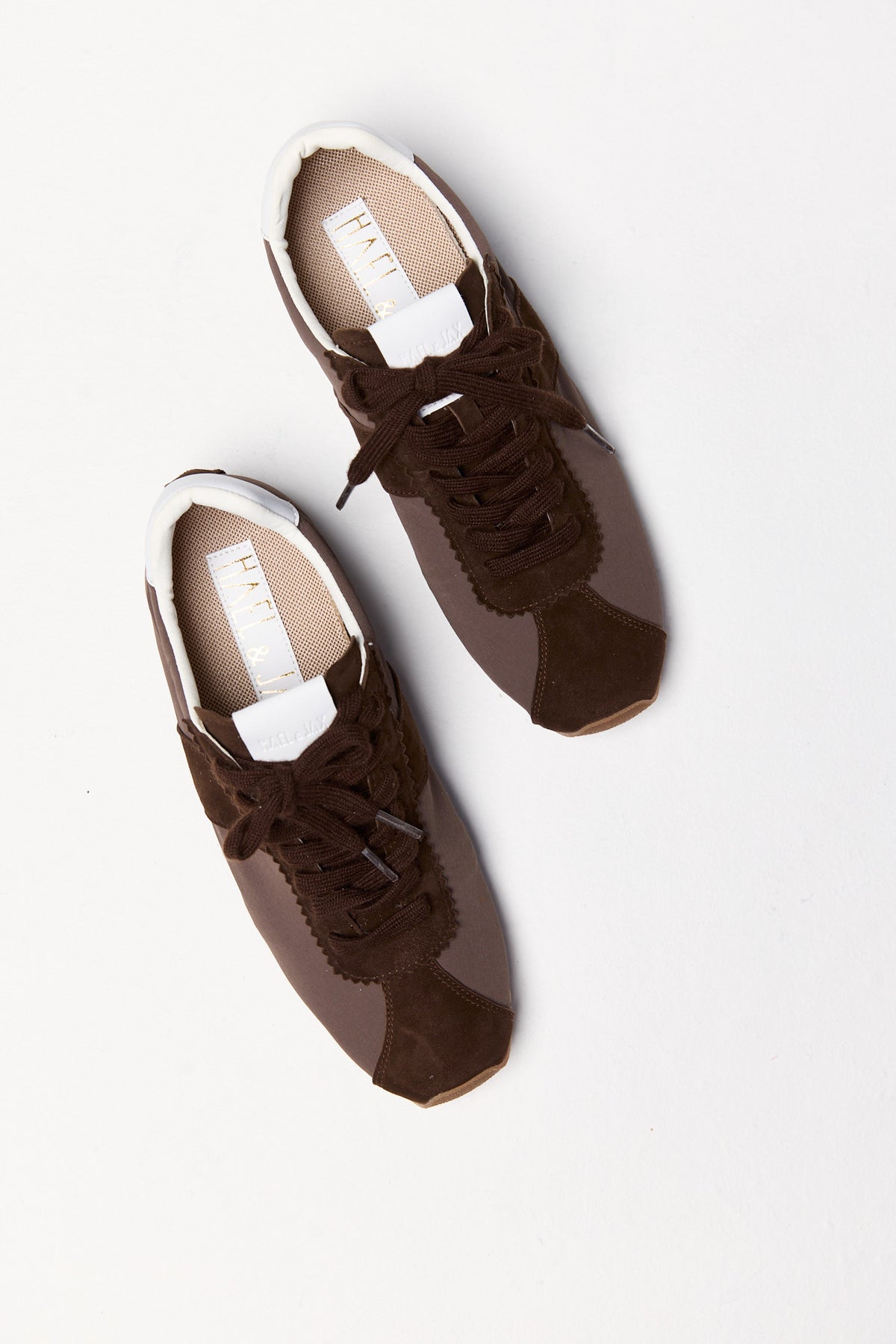 HAEL & JAX Asteroid Choc