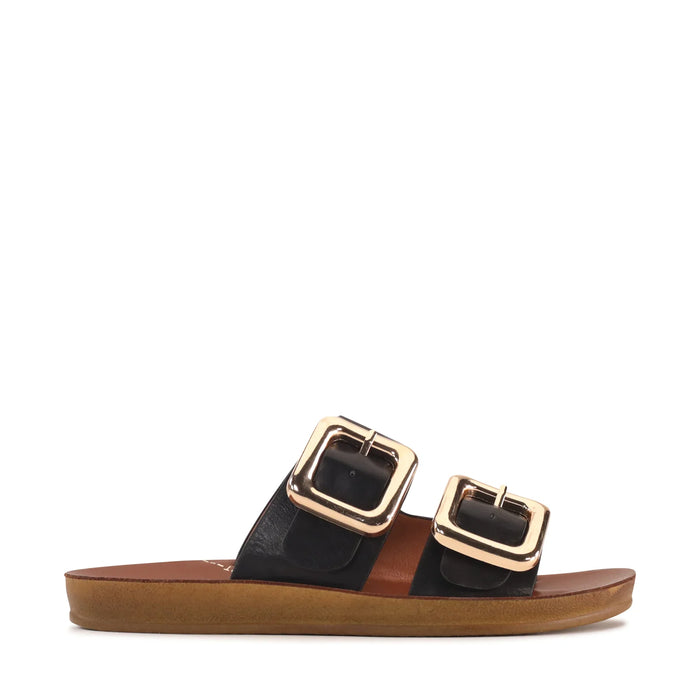 LOS CABOS DINA Black