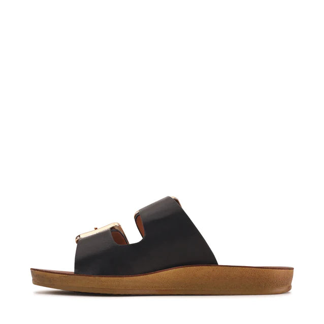 LOS CABOS DINA Black