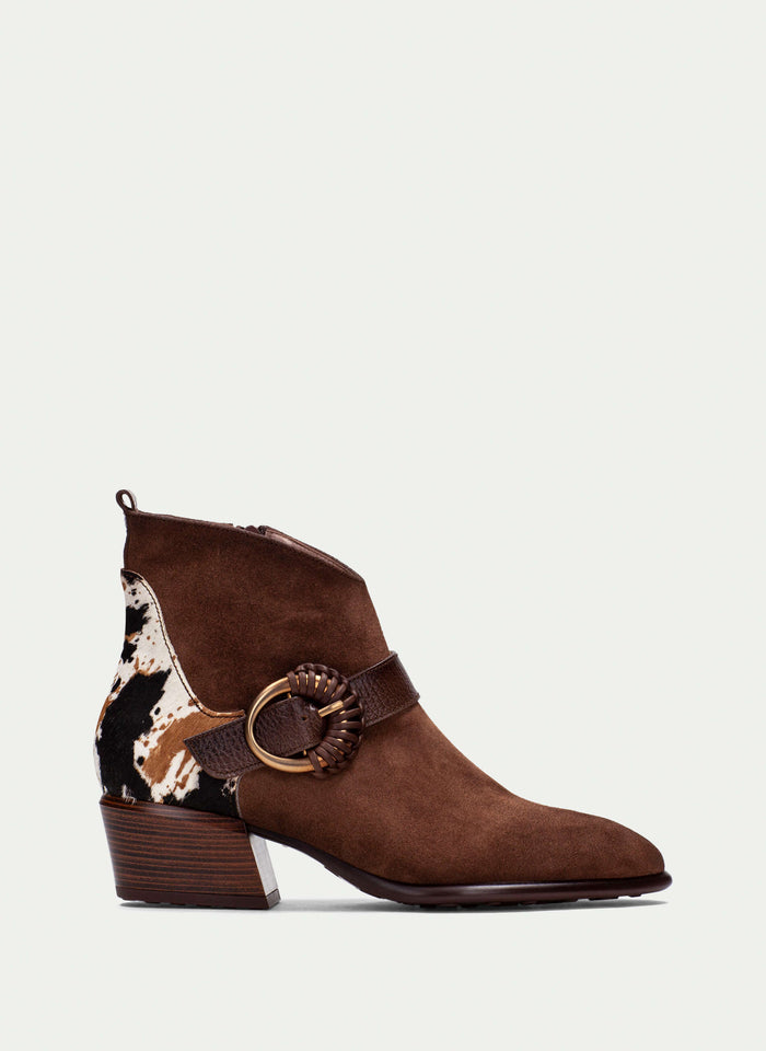 HISPANITAS VERONA Pony Multi