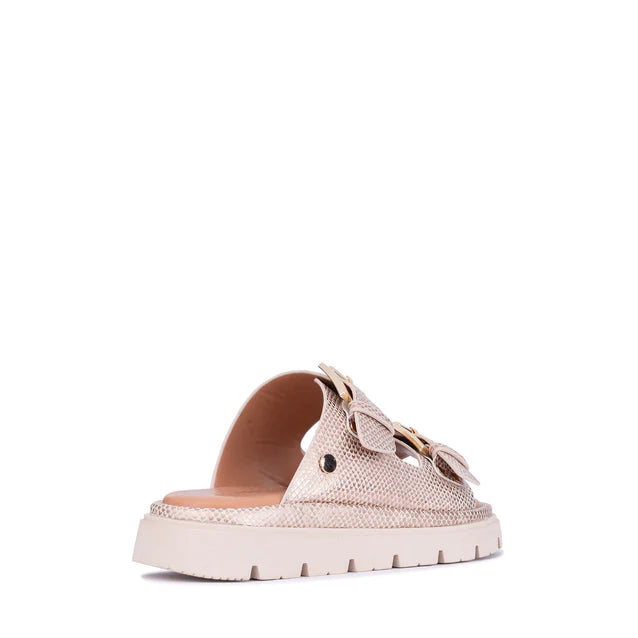 LOS CABOS TOLEDO Beige Lizard