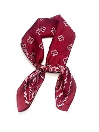 Small Scarf with rosette pattern: Rose