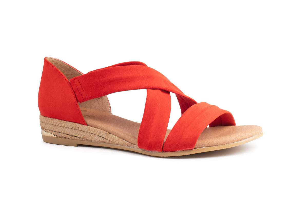 PINAZ 317 Coral