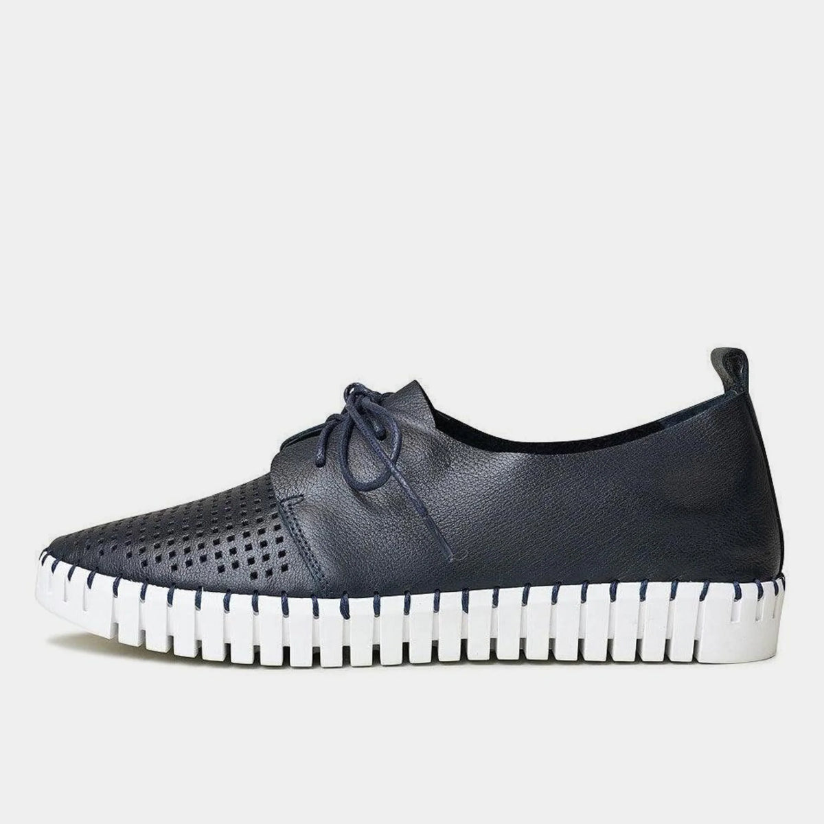 DJANGO & JULIETTE Hutson Navy/White