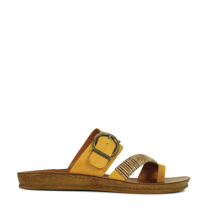 LOS CABOS Bria Mustard